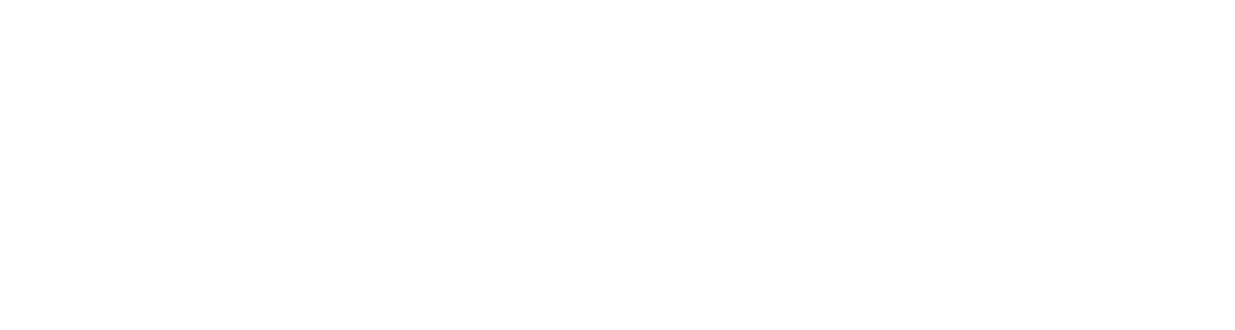 Govee-shop